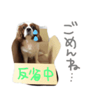 我が家のアイドル キャメル（個別スタンプ：7）