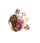 ちっぷ倶楽部（個別スタンプ：3）
