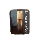 ちっぷ倶楽部（個別スタンプ：7）