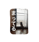 ちっぷ倶楽部（個別スタンプ：8）