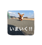 ちっぷ倶楽部（個別スタンプ：9）