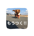 ちっぷ倶楽部（個別スタンプ：10）