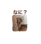 ちっぷ倶楽部（個別スタンプ：23）