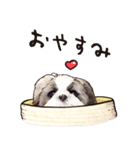 おきくさんちのワンちゃんスタンプ（個別スタンプ：8）