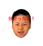 我が家の可愛いだいやくーん（個別スタンプ：2）