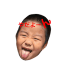 我が家の可愛いだいやくーん（個別スタンプ：5）