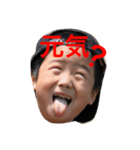 我が家の可愛いだいやくーん（個別スタンプ：12）