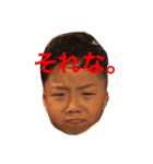 我が家の可愛いだいやくーん（個別スタンプ：13）