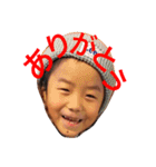 我が家の可愛いだいやくーん（個別スタンプ：16）