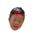 我が家の可愛いだいやくーん（個別スタンプ：17）