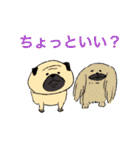 あなたのお家のお犬様（個別スタンプ：3）