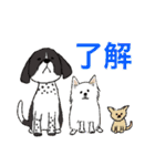 あなたのお家のお犬様（個別スタンプ：6）