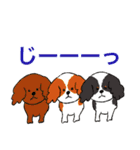 あなたのお家のお犬様（個別スタンプ：8）