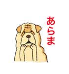 あなたのお家のお犬様（個別スタンプ：11）