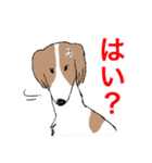 あなたのお家のお犬様（個別スタンプ：17）