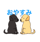 あなたのお家のお犬様（個別スタンプ：22）