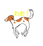 あなたのお家のお犬様（個別スタンプ：30）