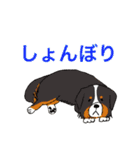 あなたのお家のお犬様（個別スタンプ：32）