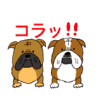 あなたのお家のお犬様（個別スタンプ：37）