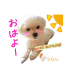 我が家の雪ちゃん第2弾（個別スタンプ：1）