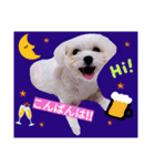 我が家の雪ちゃん第2弾（個別スタンプ：3）