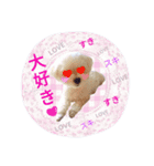 我が家の雪ちゃん第2弾（個別スタンプ：8）