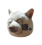 白柴しろまる。（個別スタンプ：3）
