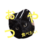 家族スタンプ(C＆R)（個別スタンプ：13）