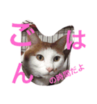 家族スタンプ(C＆R)（個別スタンプ：14）