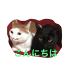 家族スタンプ(C＆R)（個別スタンプ：15）