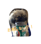 ペキ 音丸くんのスタンプ（個別スタンプ：3）