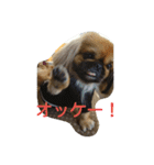 ペキ 音丸くんのスタンプ（個別スタンプ：8）