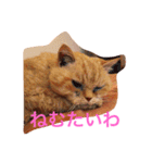 gutchkazuko（個別スタンプ：1）