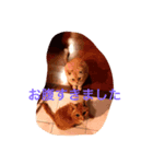 gutchkazuko（個別スタンプ：2）