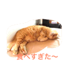 gutchkazuko（個別スタンプ：3）