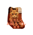 gutchkazuko（個別スタンプ：5）