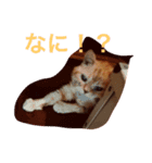 gutchkazuko（個別スタンプ：6）