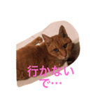 gutchkazuko（個別スタンプ：7）