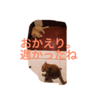 gutchkazuko（個別スタンプ：8）