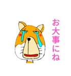 細目かわいい チベットすなぎつね（個別スタンプ：10）