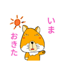 細目かわいい チベットすなぎつね（個別スタンプ：12）