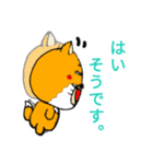 細目かわいい チベットすなぎつね（個別スタンプ：14）