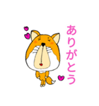 細目かわいい チベットすなぎつね（個別スタンプ：17）
