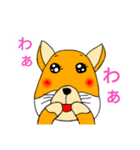 細目かわいい チベットすなぎつね（個別スタンプ：40）