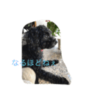世界一かわいいモップと仲間たち（個別スタンプ：2）