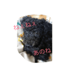 世界一かわいいモップと仲間たち（個別スタンプ：6）