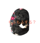 世界一かわいいモップと仲間たち（個別スタンプ：13）