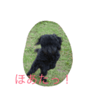 世界一かわいいモップと仲間たち（個別スタンプ：21）