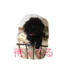 世界一かわいいモップと仲間たち（個別スタンプ：23）