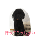 世界一かわいいモップと仲間たち（個別スタンプ：25）